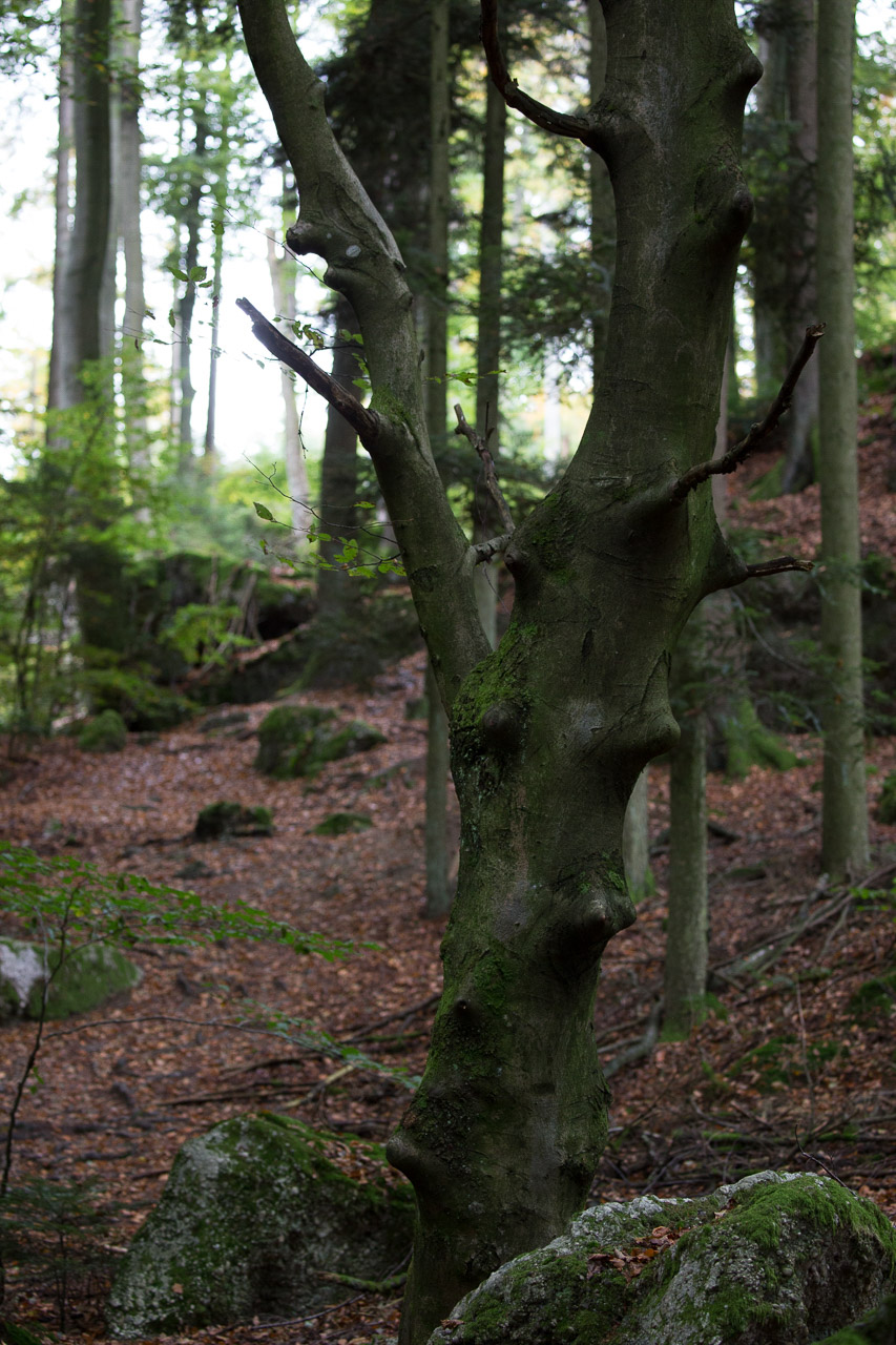 20231014100727 3K6A2257